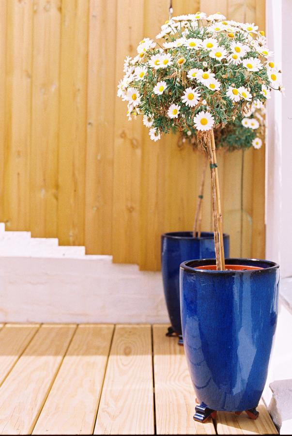 فندق Trevose Harbour House St Ives المظهر الخارجي الصورة